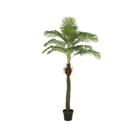 PALMTREE IN POT L80H230CM GREEN - afbeelding 1