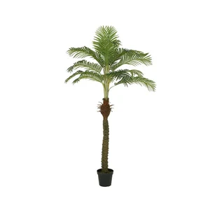 PALMTREE IN POT L80H230CM GREEN - afbeelding 1