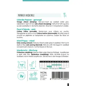 Papaver - IJslandse Papaver - afbeelding 2