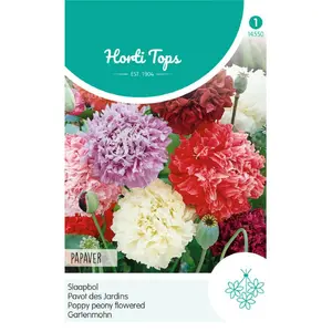 Papaver - Slaapbol - afbeelding 1