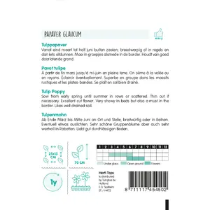 Papaver - Tulppapaver - afbeelding 2