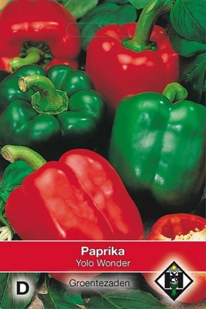 Paprika 'Yolo Wonder'