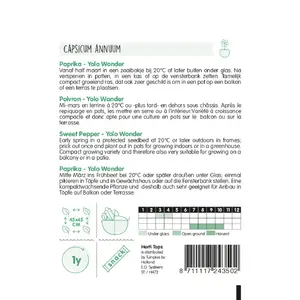 Paprika 'Yolo Wonder' - afbeelding 2
