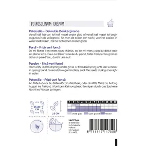 Peterselie - Gekrulde Donkergroene - afbeelding 2