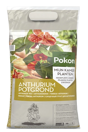 Pokon Anthurium Potgrond RHP - 5L - afbeelding 1