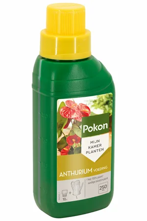 Pokon Anthurium Voeding – 250 ml