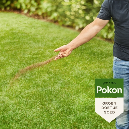 Pokon Bio Gazonmest - 5 kg - afbeelding 5