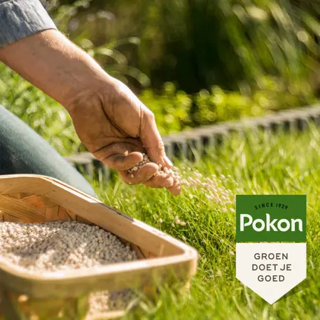 Pokon Bio Kalk - 5 kg - afbeelding 5