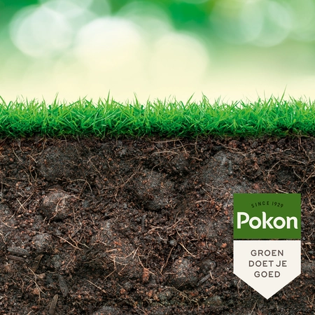 POKON BIO KUUR VOOR EEN WEERBAAR EN GEZOND GAZON CONCENTRAAT 500ML - afbeelding 4