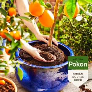 Pokon Bio Mediterrane Potgrond RHP Turfvrij  – 30 L - afbeelding 5