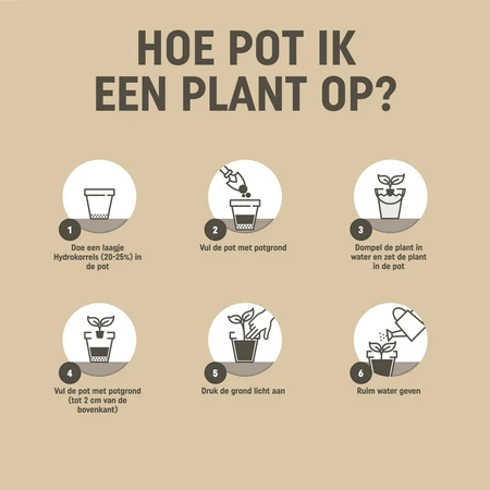 Pokon Bio Moestuingrond RHP Turfvrij - 40L - afbeelding 4