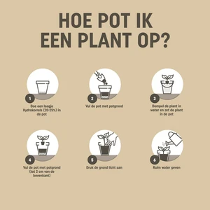 Pokon Bio Moestuingrond RHP Turfvrij - 40L - afbeelding 4