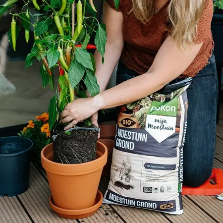 Pokon Bio Moestuingrond RHP Turfvrij - 40L - afbeelding 5