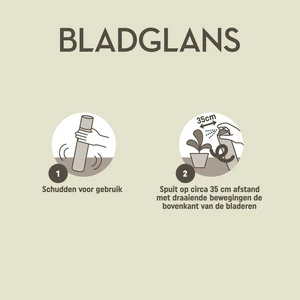 Pokon Bladglans - 600 ml - afbeelding 4