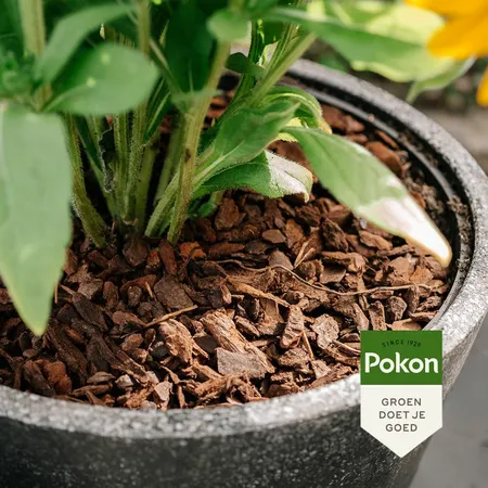 Pokon Boomschors Excellent - 10 L - afbeelding 4