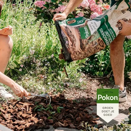 Pokon Boomschors Excellent - 10 L - afbeelding 6