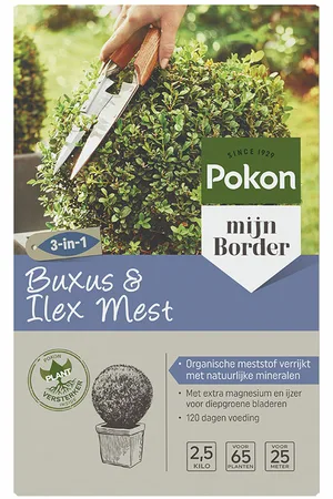 Pokon Buxus & Ilex Mest - 2,5 kg