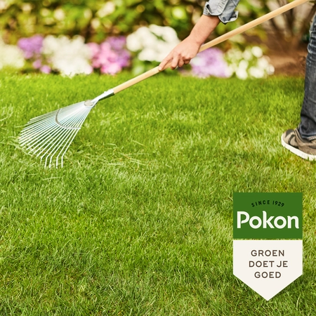 Pokon Gazonmest met Kalk 3-in-1 - 8,4kg - afbeelding 5
