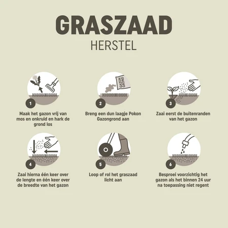 Pokon Graszaad Herstel - 1kg - afbeelding 4