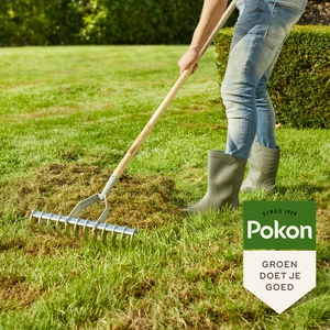 Pokon Graszaad Herstel - 500gr - afbeelding 5