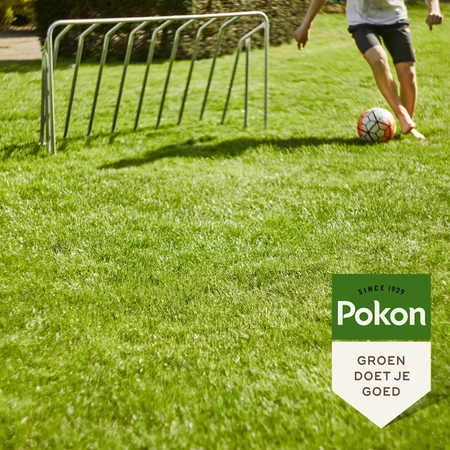 Pokon Graszaad Inzaai - 1kg - afbeelding 5