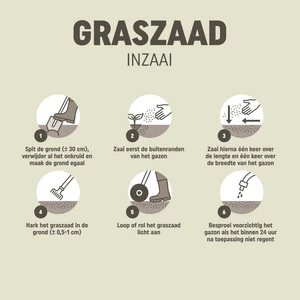 Pokon Graszaad Inzaai - 2kg - afbeelding 4