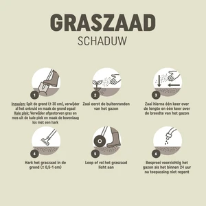 Pokon Graszaad Schaduw - 250gr - afbeelding 4