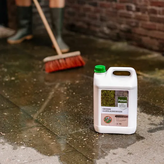 Pokon Groene Aanslagreiniger - 5L - afbeelding 4