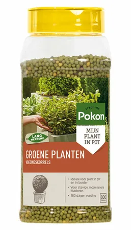 Pokon Groene Planten Voedingskorrels – 800 gram