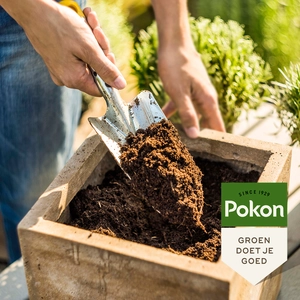 Pokon Kokos Potgrond Compact - 10 L - afbeelding 4