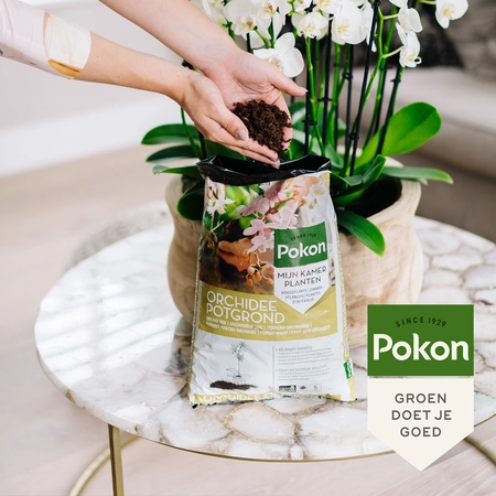 Pokon Orchidee Potgrond RHP - 5 L - afbeelding 5