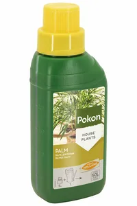 Pokon Palm Voeding - 250 ml