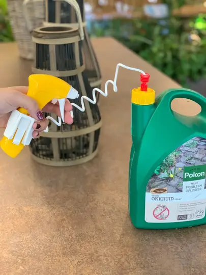 Pokon Tegen Onkruid Spray - 3L - afbeelding 2