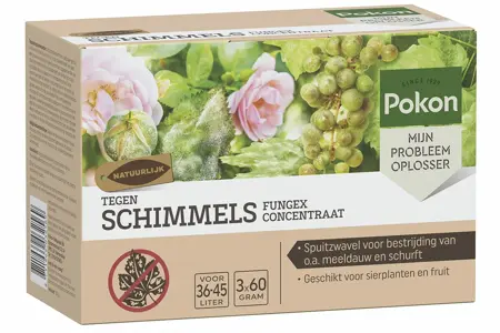 POKON TEGEN SCHIMMELS CONCENTRAAT 180GR 'FUNGUS CONCENTRAAT'