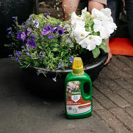 Pokon Terras & Balkon Planten Voeding - 500 ml - afbeelding 5