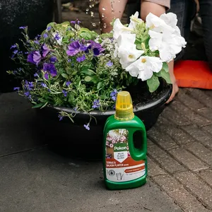 Pokon Terras & Balkon Planten Voeding - 500 ml - afbeelding 5