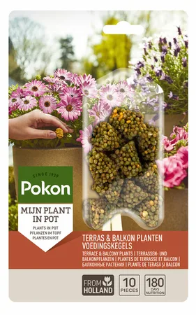 Pokon Terras & Balkon Planten Voedingskegels – 10 stuks