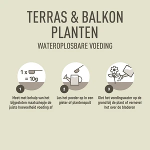 Pokon Terras & Balkon Planten Wateroplosbare Voeding – 500 gr - afbeelding 4