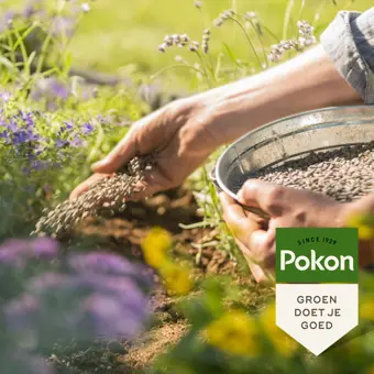 Pokon Tuinmest - 2,5 kg - afbeelding 4