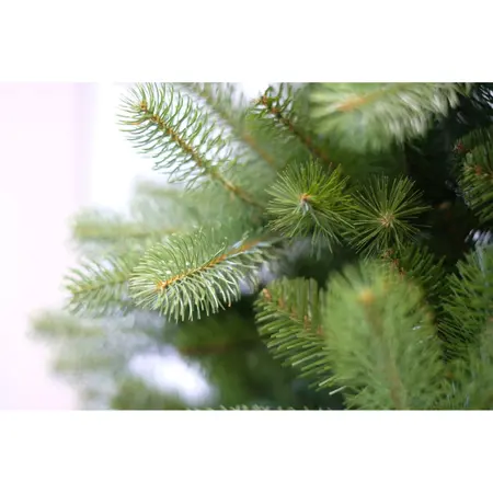 Poly Bayberry Spruce Hinged - D160/H243cm - afbeelding 2
