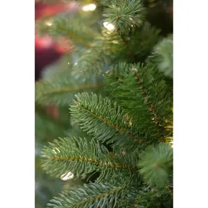 Poly Bayberry Spruce Hinged - D160/H243cm - afbeelding 3