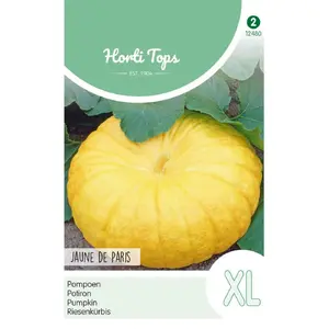 Pompoenen 'Jaune de Paris' - afbeelding 1