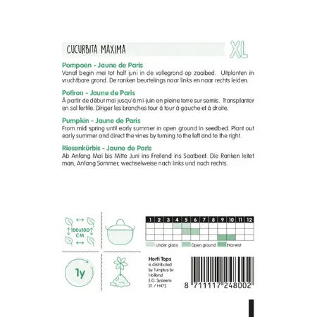 Pompoenen 'Jaune de Paris' - afbeelding 2