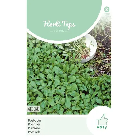 Postelein 'Groene' - afbeelding 1