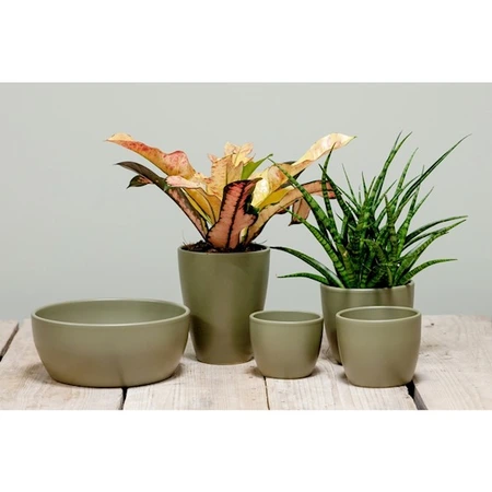 Pot Boule Groen - H 8 x D 10 cm - afbeelding 2