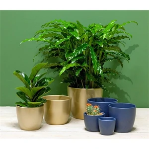 Pot Boule Goud - H 22 x D 25 cm - afbeelding 2