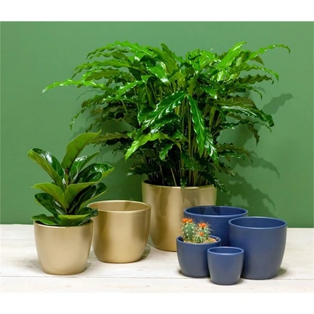 Pot Boule - D28/H25cm Goud - afbeelding 2