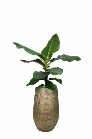 Pot Hoog Ryan Shiny Gold Goud - H 50 x D 27 cm - afbeelding 2