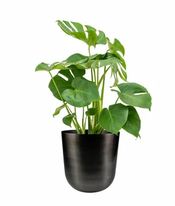 Pot Mayk - D23/H23cm Grijs - afbeelding 4