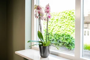 Pot Mayk - D23/H23cm Grijs - afbeelding 2